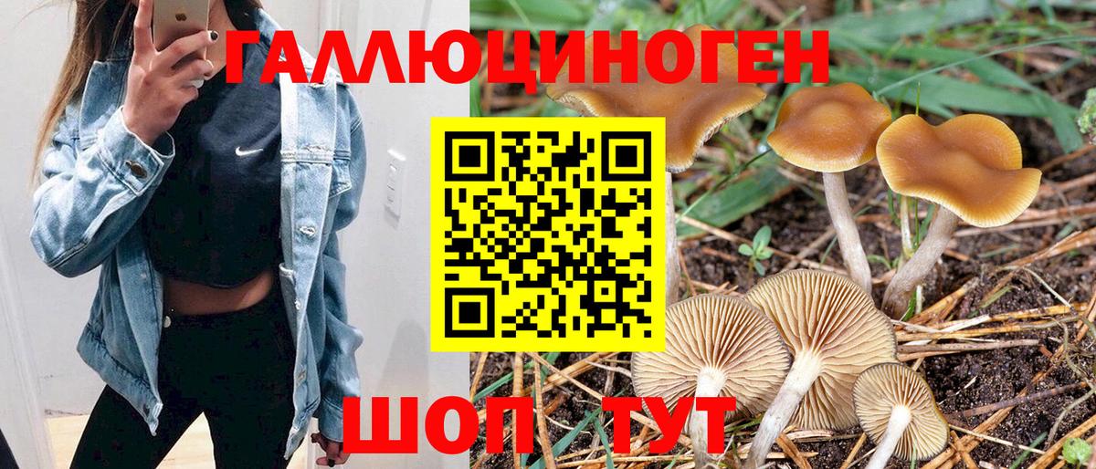 что такое наркотик  Вход с VPN  Каменск-Уральский  Галлюциногенные грибы Magic Shrooms 