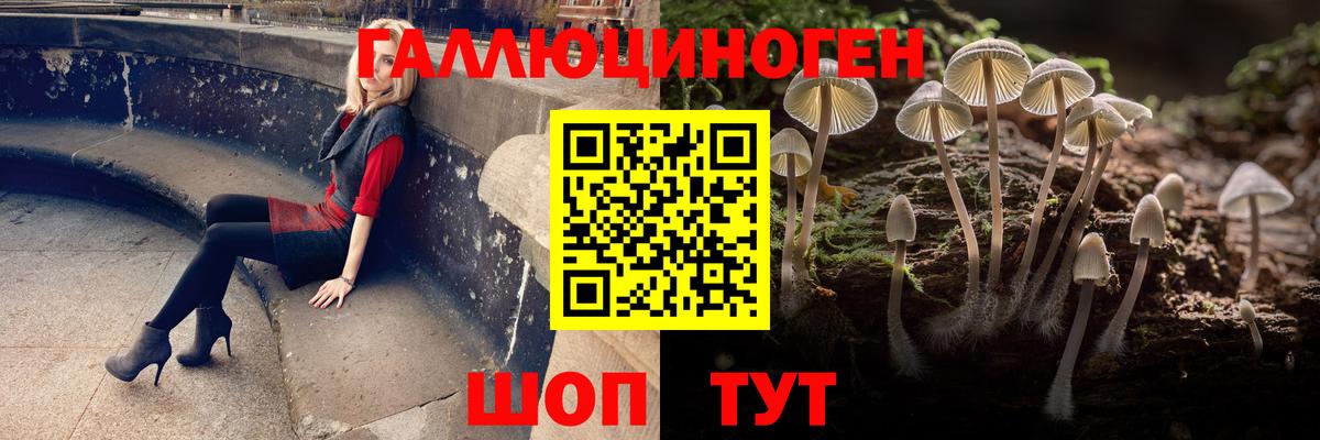 Псилоцибиновые грибы прущие грибы Каменск-Уральский
